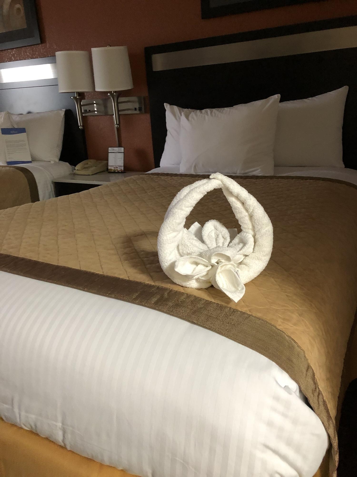 Baymont By Wyndham Cincinnati Sharonville