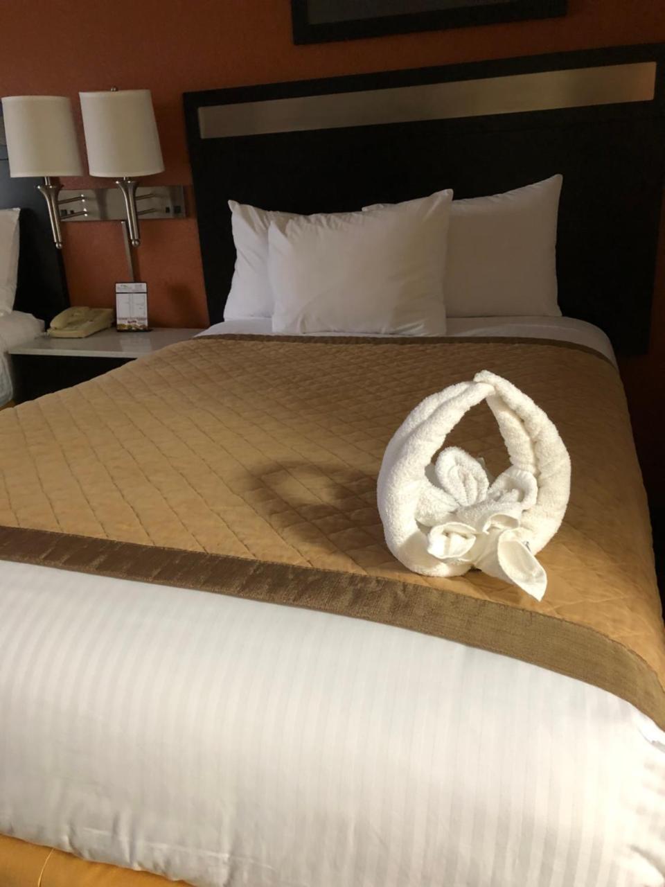 Hotel Baymont By Wyndham Cincinnati